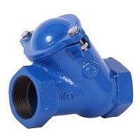 Муфтовый шаровой обратный клапан CVB WT 2 1/2' Water Technics