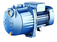 pedrollo_2cp_80.jpg