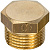 STOUT_zaglushka_SFT-0024-000038.jpg